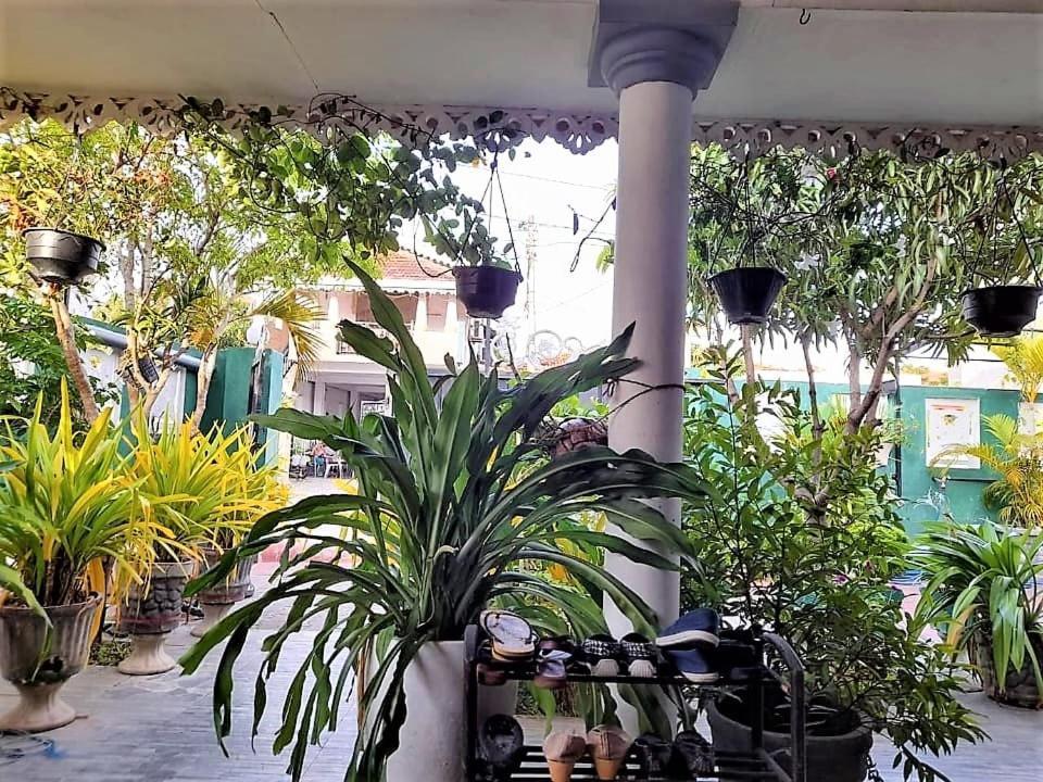 נגומבו Alexandra Family Villa מראה חיצוני תמונה